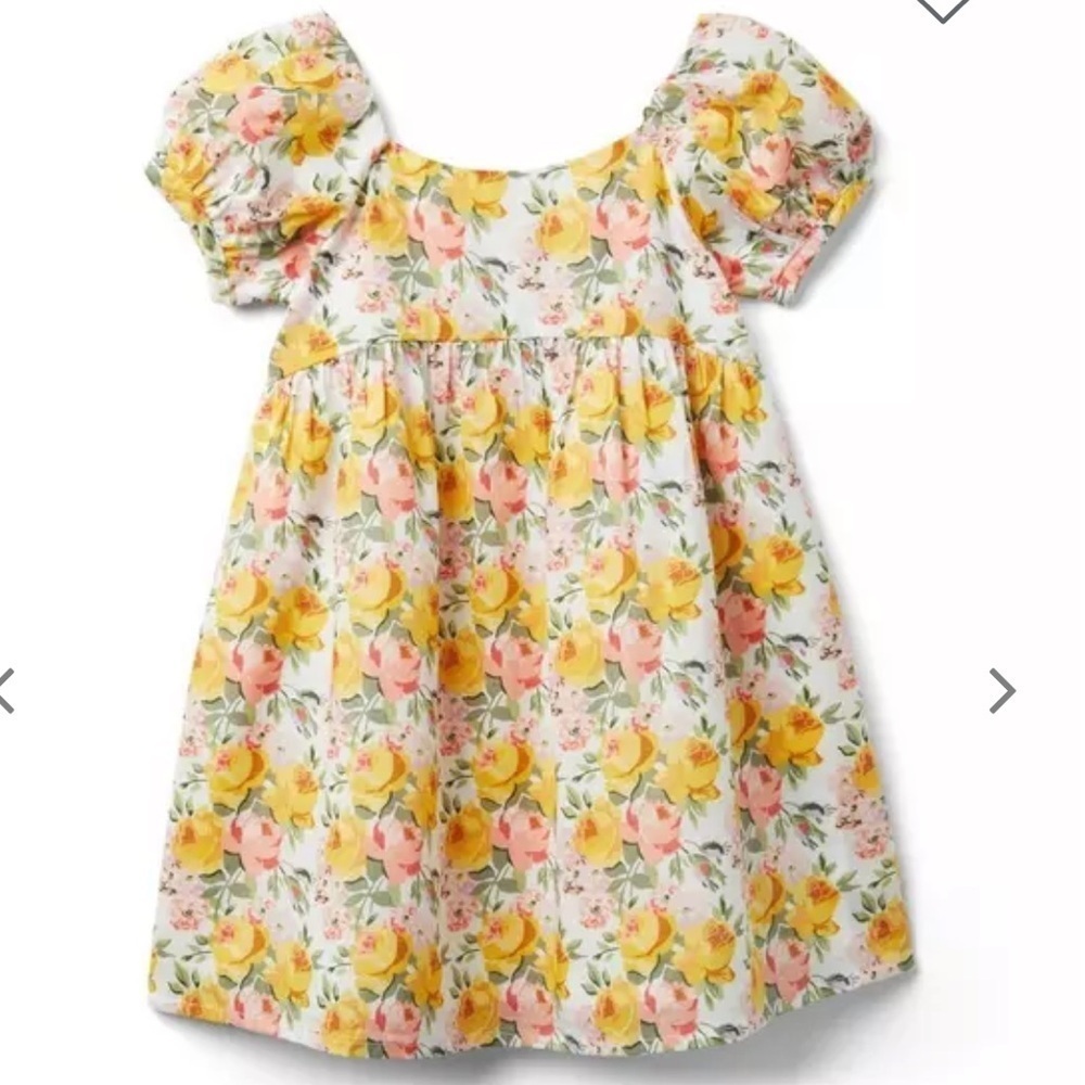 Janie and Jack Sunny Floral Puff Sleeve Dress SIZE 3